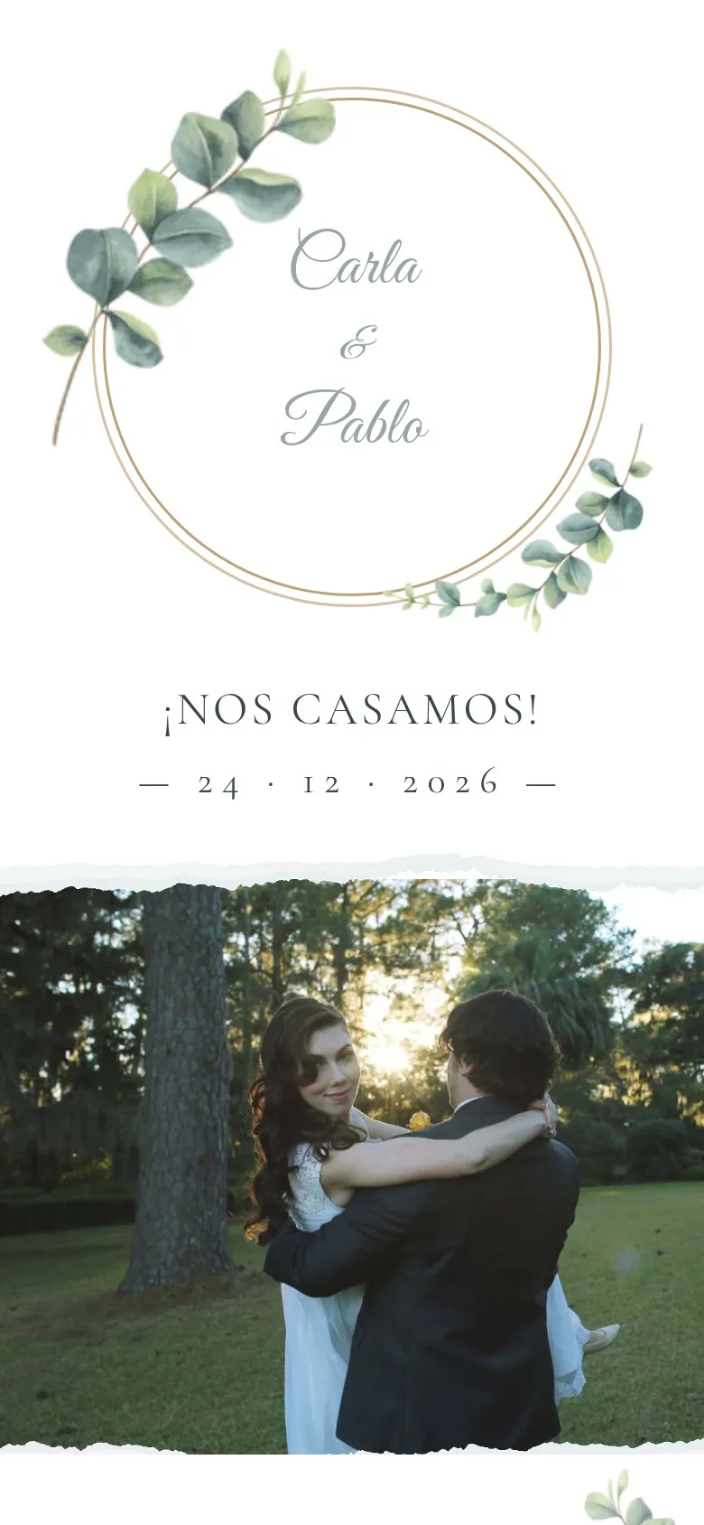 Vista previa de la plantilla Eucalipto